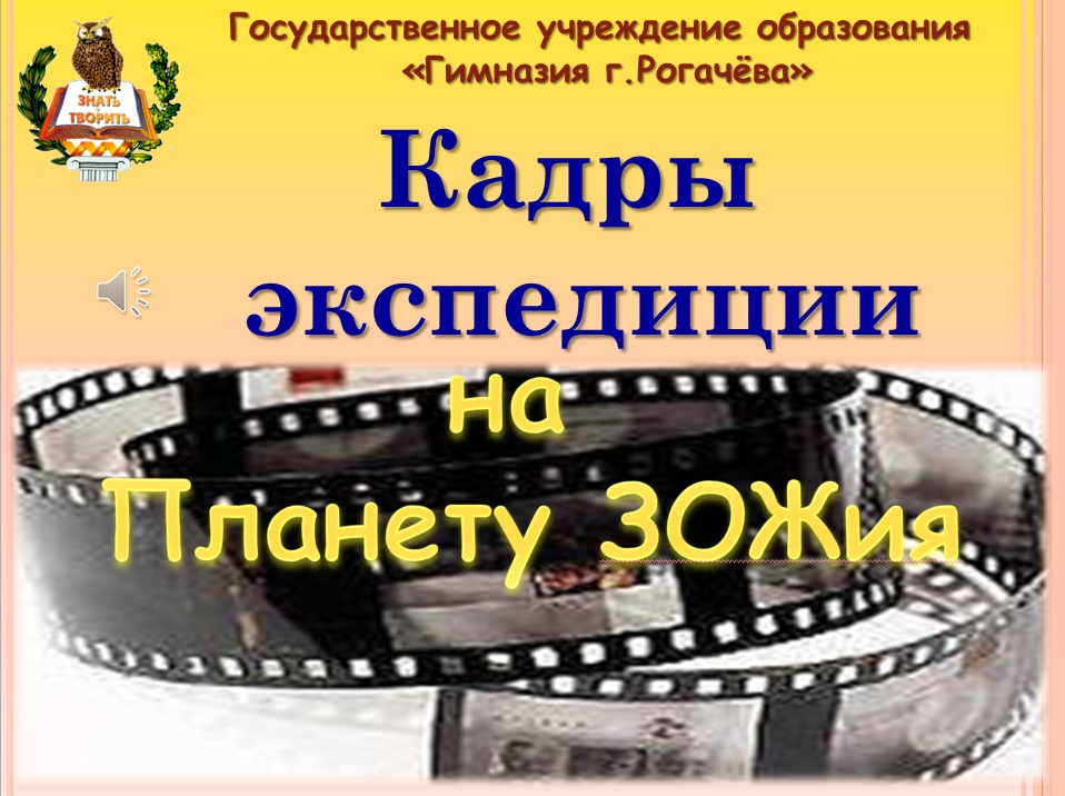 Новые модели: Организация детского отдыха «Сделаем лето ярче»