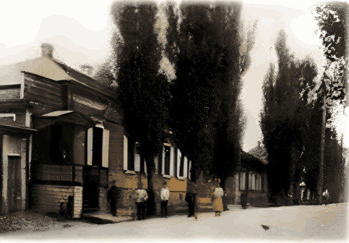 Старая гимназия Рогачева. История.