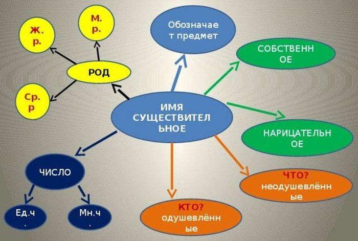 Углубление знания учащихся об имени существительном - Русский язык, 6 класс
